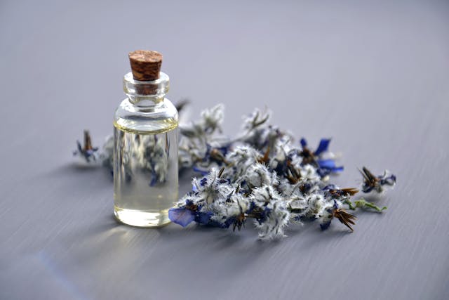 Read more about the article Best Perfumes with All-Day Longevity & Captivating Scents
